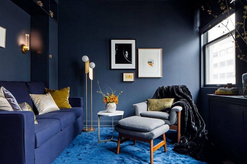 Phòng khách hiện đại tuyệt đẹp với bức tường màu xám đậm, thảm màu xanh lam và sofa màu xanh lam đậm.