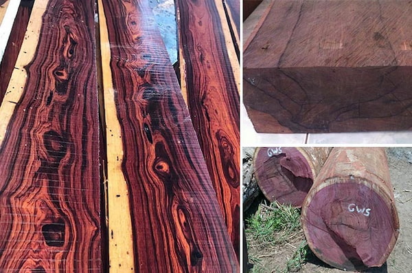 gỗ cẩm lai tím