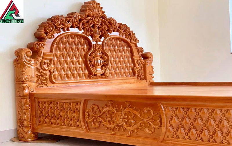 Những điều thú vị về cây gỗ gõ