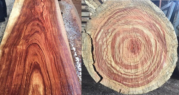 So sánh gỗ đinh hương và gỗ hương có điểm gì giống và khác