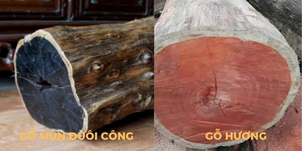 So sánh gỗ mun đuôi công và gỗ hương đá đâu là loại gỗ tốt hơn?