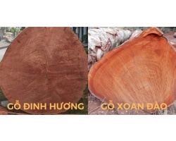 So sánh gỗ đinh hương và xoan đào - Loại nào tốt hơn?