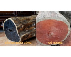 So sánh gỗ mun đuôi công và gỗ hương nên chọn loại nào?